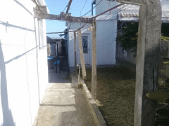 Casas en alquiler – Cerro