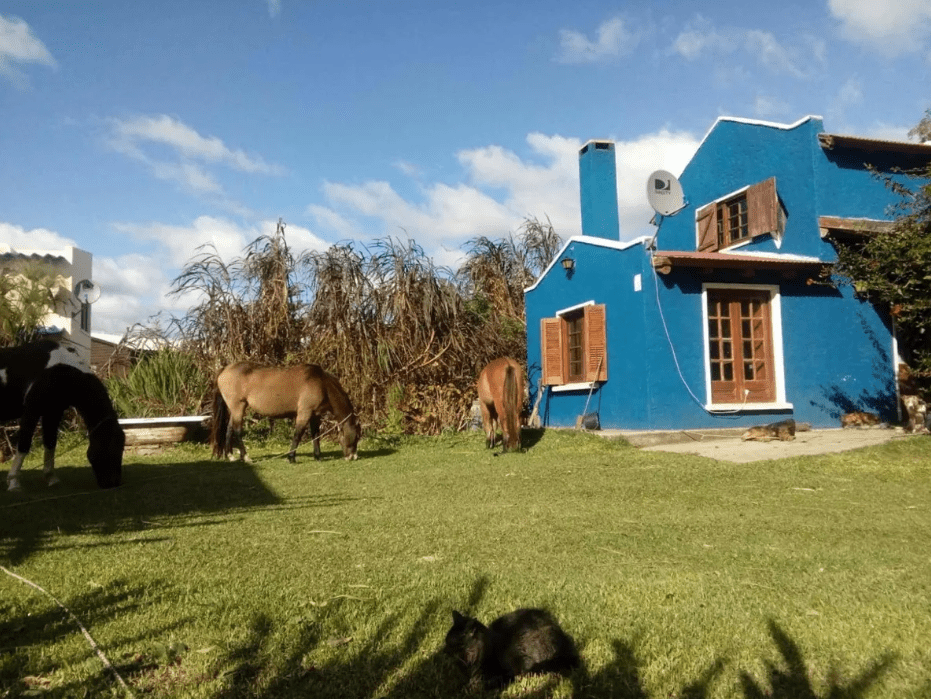 Casas en alquiler – Punta Rubia (Rocha)